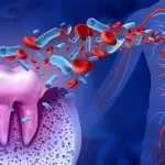 link between oral health and heart disease